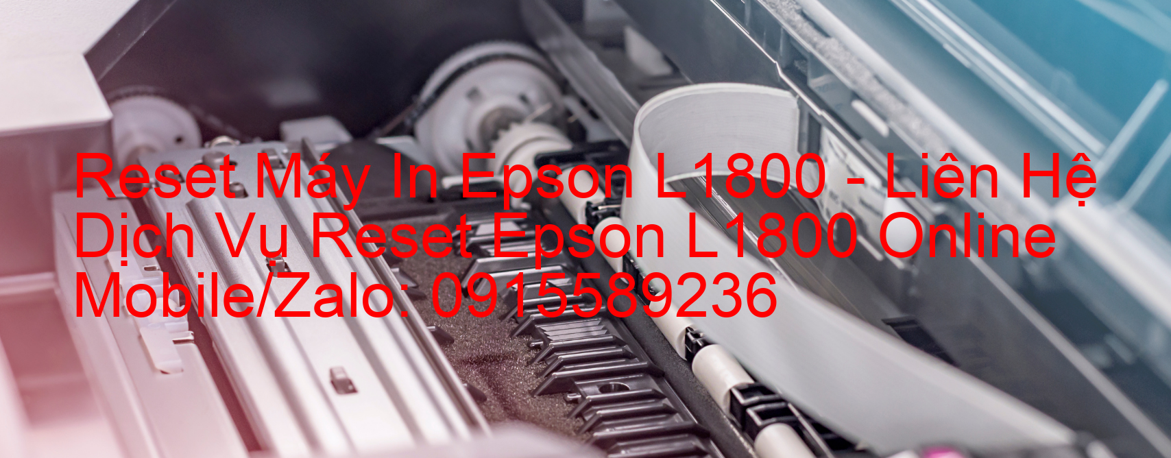 Reset Máy In Epson L1800 Online