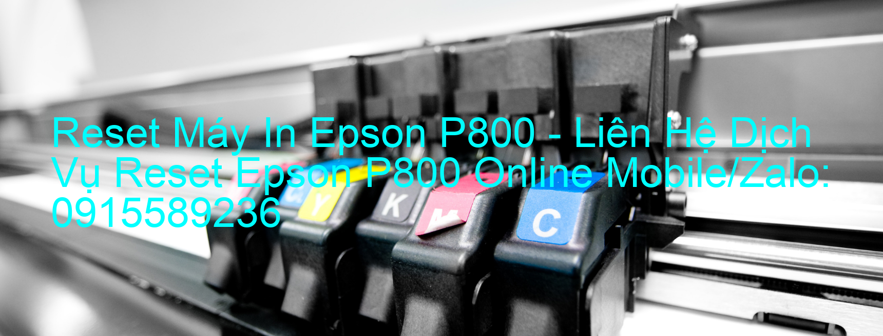 Reset Máy In Epson P800 Online