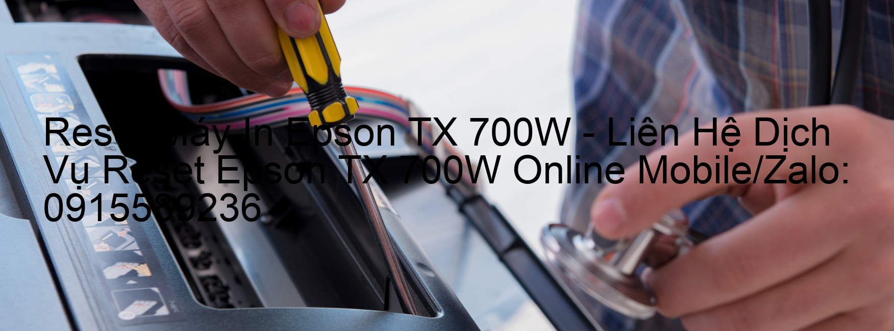 Reset Máy In Epson TX 700W Online
