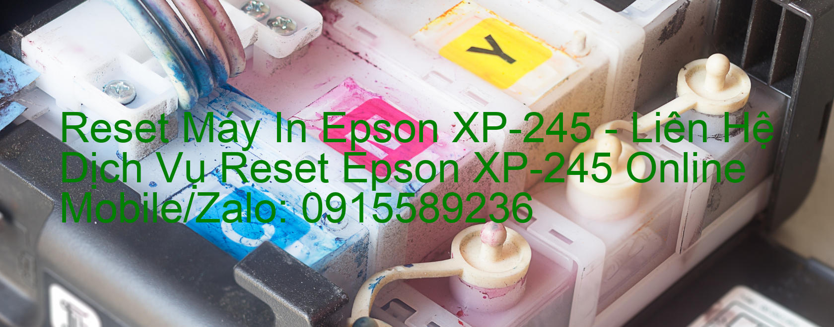 Reset Máy In Epson XP-245 Online