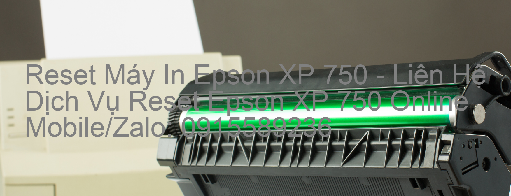 Reset Máy In Epson XP 750 Online