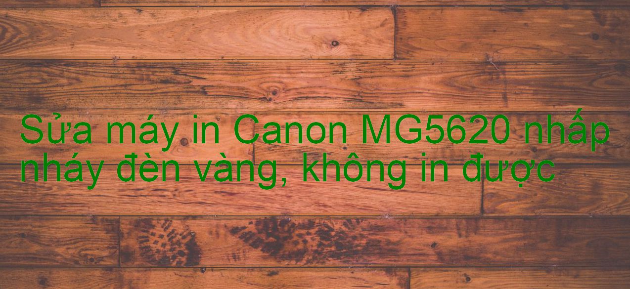 Sửa máy in Canon MG5620 nhấp nháy đèn vàng, không in được