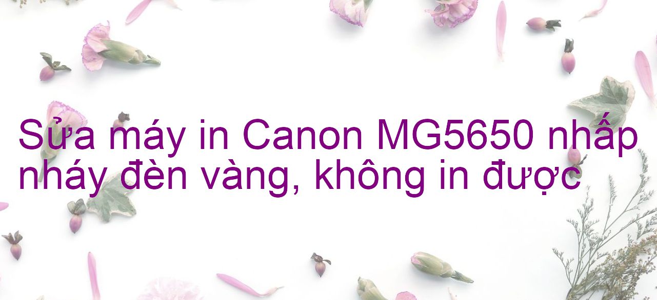 Sửa máy in Canon MG5650 nhấp nháy đèn vàng, không in được