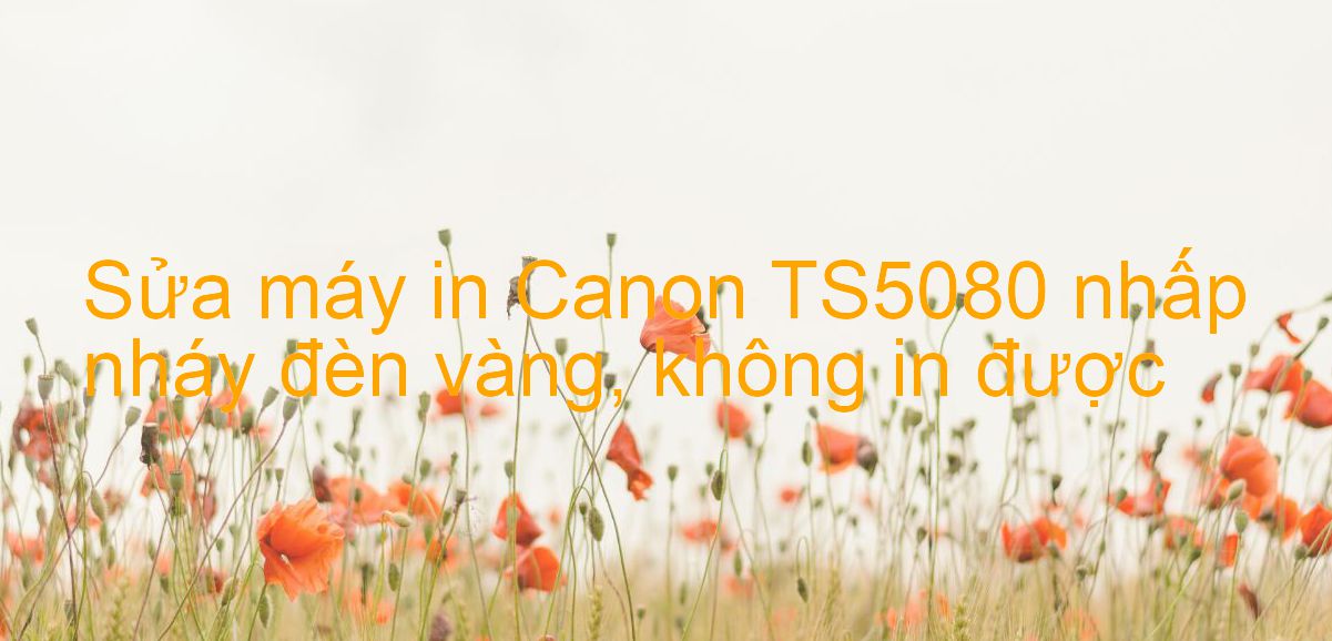 Sửa máy in Canon TS5080 nhấp nháy đèn vàng, không in được