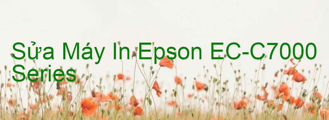 Sửa Máy In Epson EC-C7000 Series - Chuyên Nghiệp - Giá Rẻ