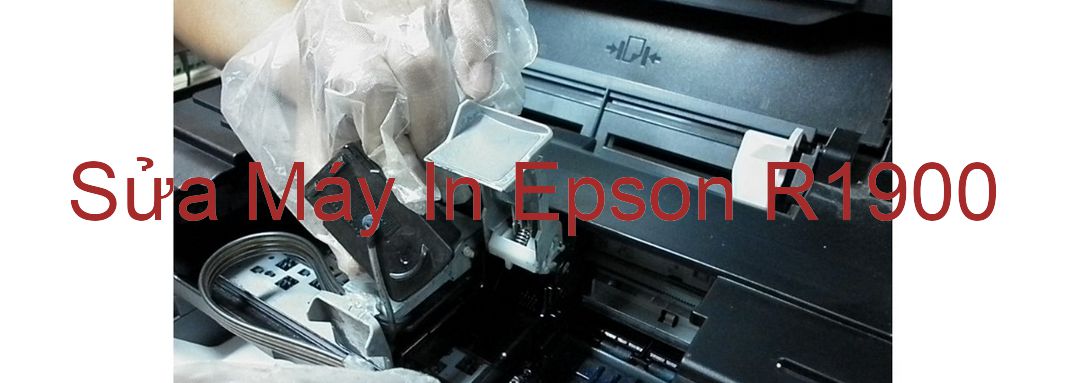 Sửa Máy In Epson R1900 - Chuyên Nghiệp - Giá Rẻ
