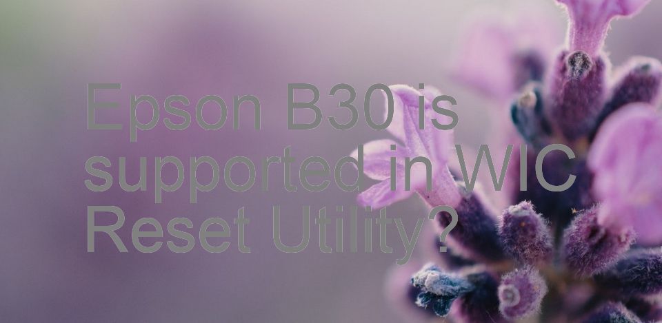 Epson B30 Wicreset Supported Functions