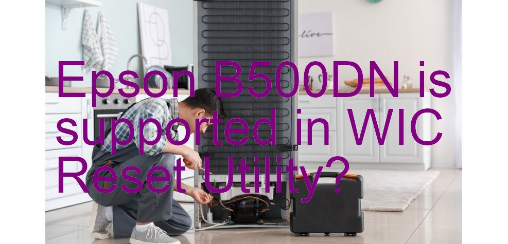 Epson B500DN Wicreset Supported Functions