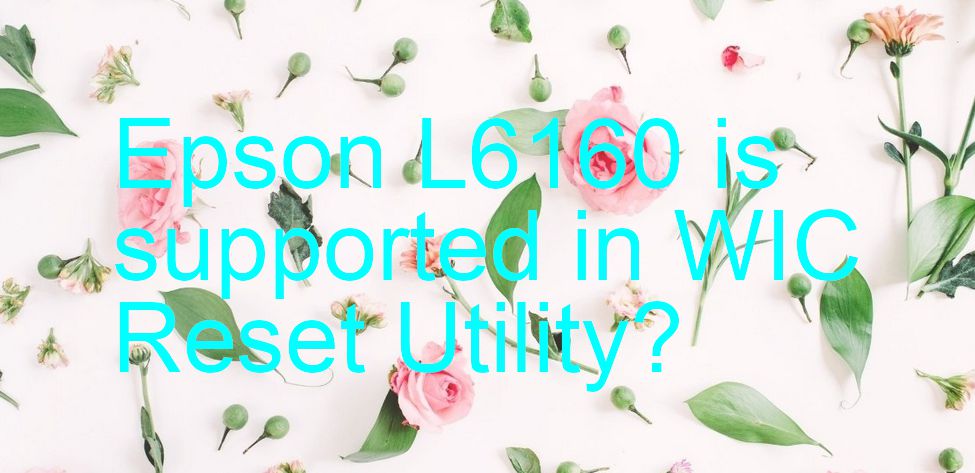 Epson L6160 Wicreset Supported Functions
