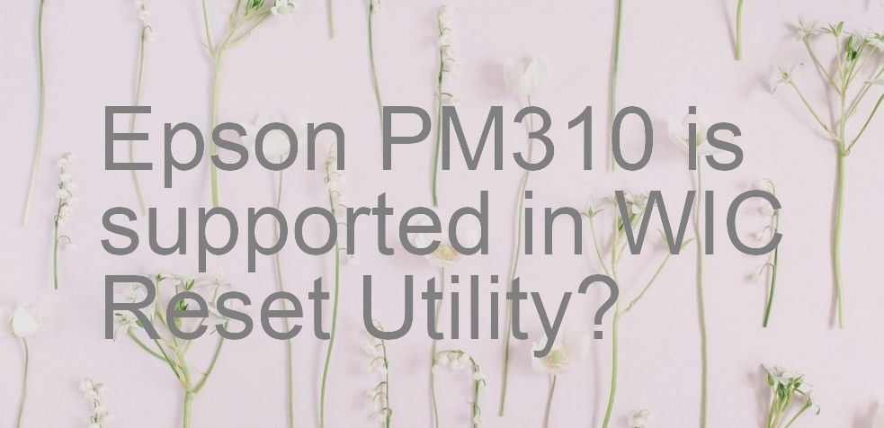 Epson PM310 Wicreset Supported Functions