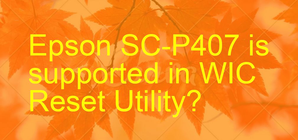 Epson SC-P407 Wicreset Supported Functions